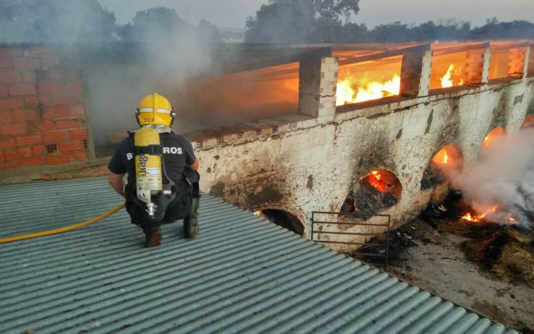 Incendio en nave agricola,300 pacas de paja que arden por completo
